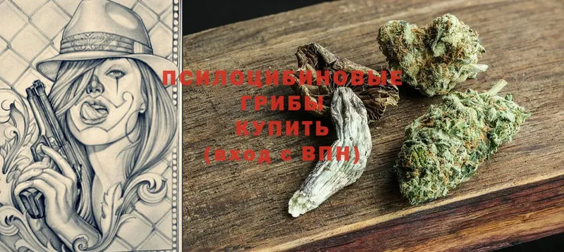 Псилоцибиновые грибы Cubensis  Ардон 